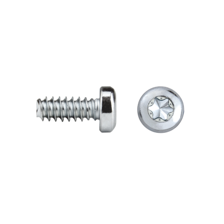Şurub REMFORM®F cap plat FF81T TORX®.