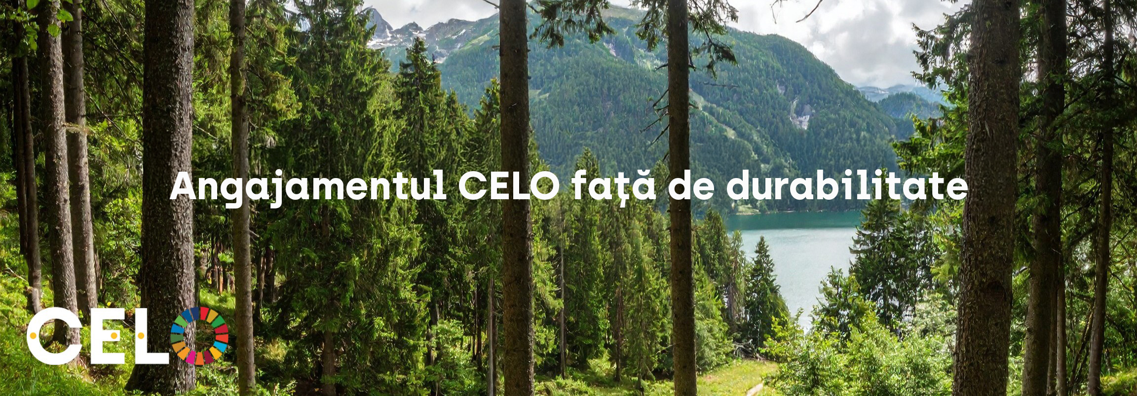 Angajamentul față de sustenabilitate | CELO ESG